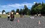 Vereinsfest 2024 Bild 5