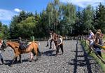 Vereinsfest 2024 Bild 6