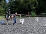 Vereinsfest 2024 Bild 9