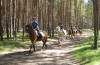 Galopp im Gelände
