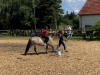 Vereinsfest 2022 Bild 7