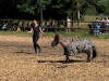 Vereinsfest 2022 Bild 11