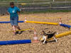 Vereinsfest 2022 Bild 12