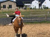 Vereinsfest 2022 Bild 13