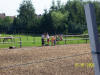 Reitplatz harken