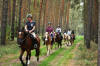 Passprüfung 2014